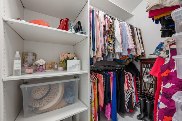 view of spacious closet