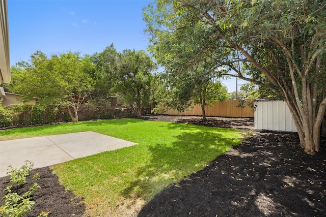 view of yard featuring a patio area and a storage shed