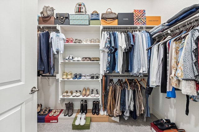 spacious closet featuring carpet floors