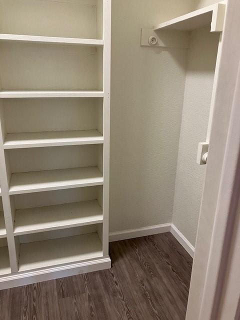 spacious closet featuring dark wood-type flooring