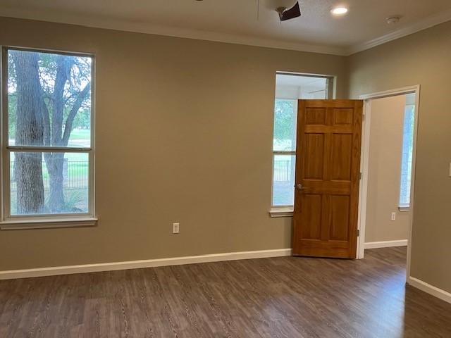 entryway with ceiling fan, dark hardwood / wood-style flooring, and ornamental molding