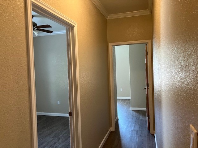 hall featuring crown molding and hardwood / wood-style floors