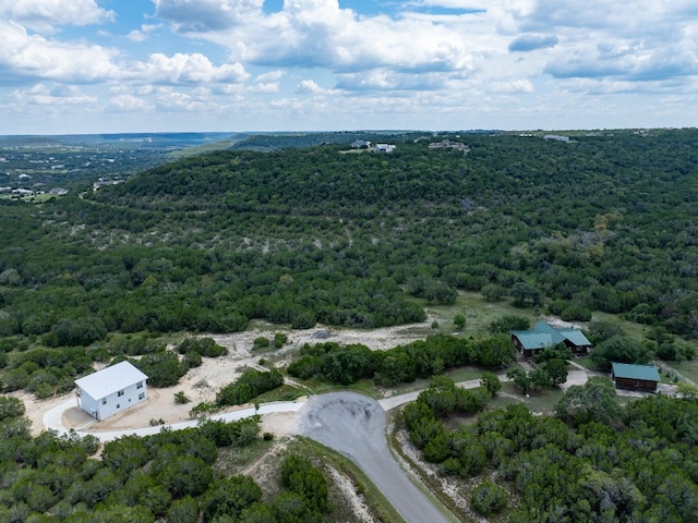 0 Junction Cir, Bertram TX, 78605 land for sale