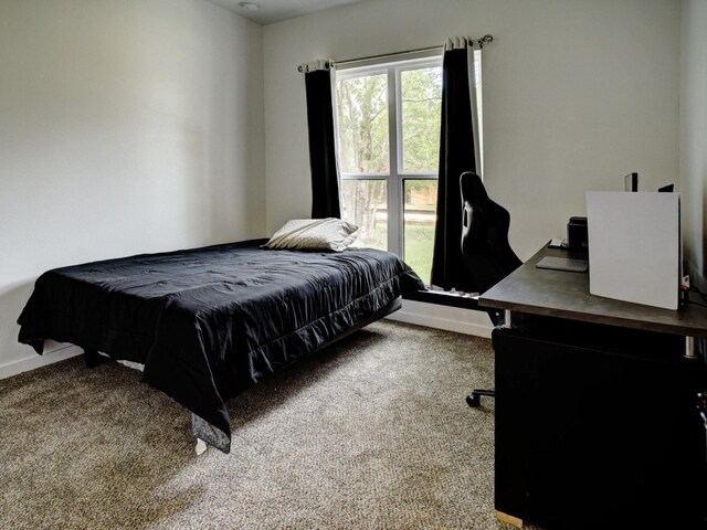 bedroom featuring carpet flooring