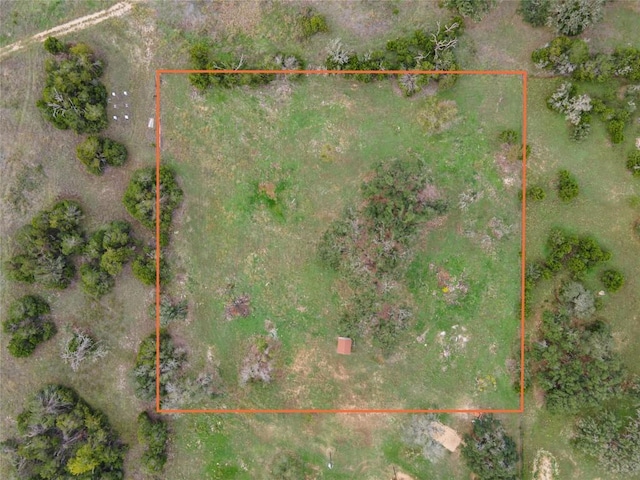 9050TRACT3 Ranch Road 1869, Liberty Hill, TX 78642 - photo 10