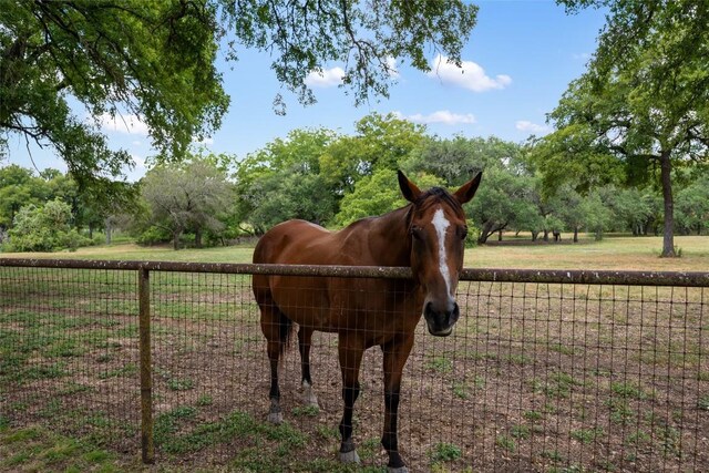 121 Dog Run, Burnet, TX 78611 - photo 9