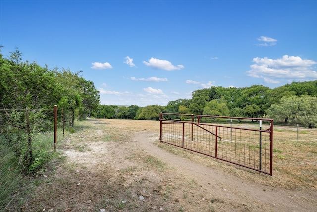 view of yard with a rural view