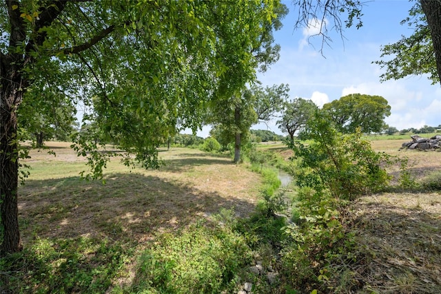 view of yard with a rural view