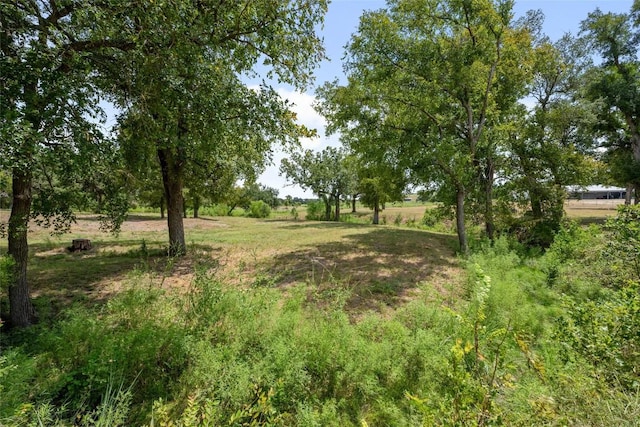 121 Dog Run, Burnet, TX 78611 - photo 36