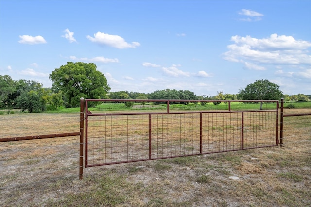 view of yard featuring a rural view