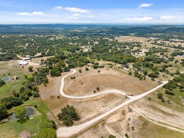 121 Dog Run, Burnet, TX 78611 - photo 40
