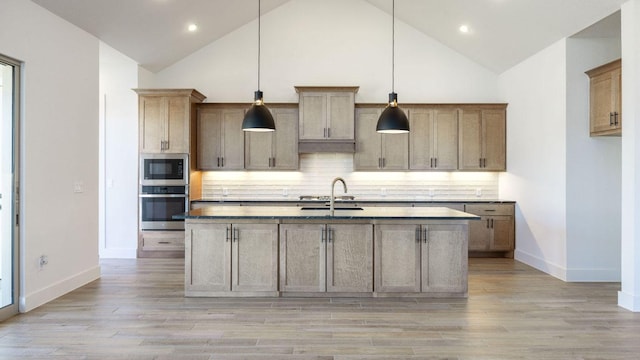 kitchen with light wood-style floors, a sink, stainless steel oven, and built in microwave