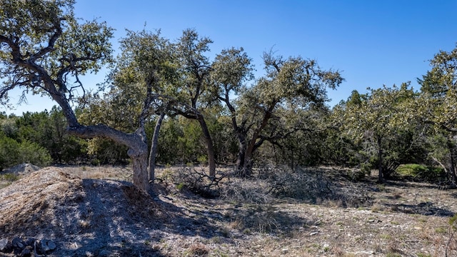 13510 Trautwein Rd, Austin TX, 78737 land for sale