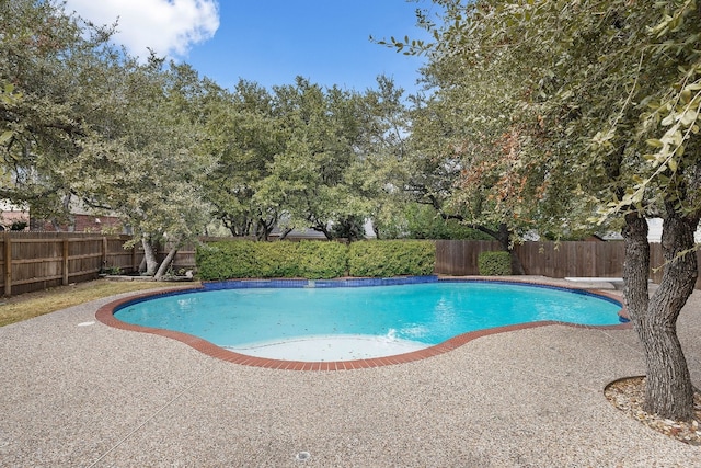 view of swimming pool with a patio and a diving board