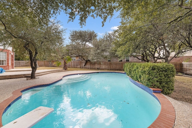 view of pool with a diving board and a patio area