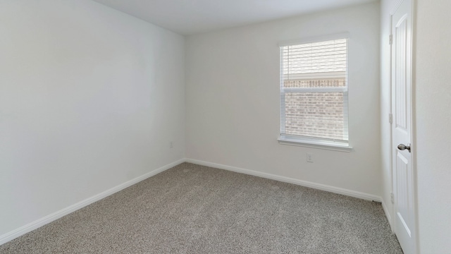 spare room with carpet