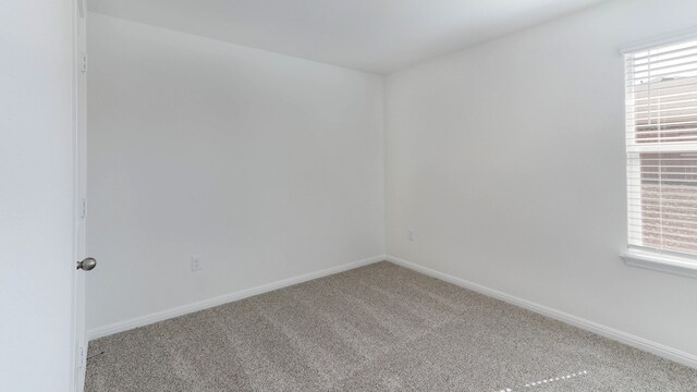 unfurnished room featuring carpet and a healthy amount of sunlight