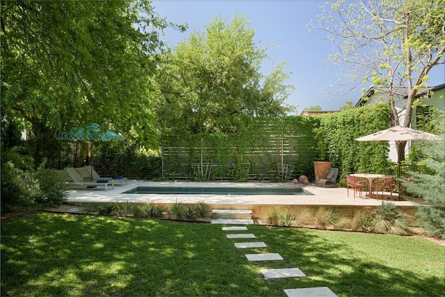 view of swimming pool with a patio and a yard