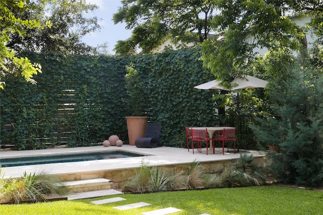 view of pool featuring a patio area