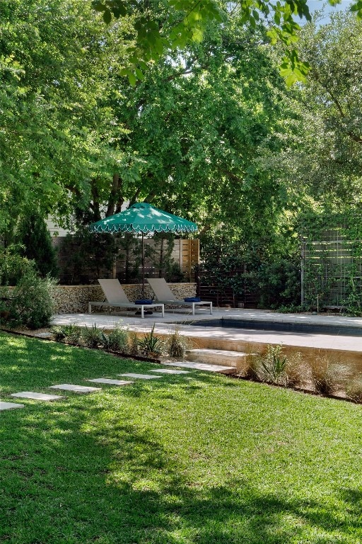 view of yard featuring a patio