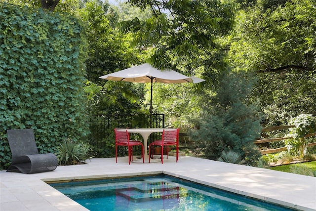 view of pool with a patio