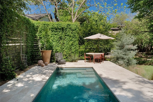 view of swimming pool featuring a patio