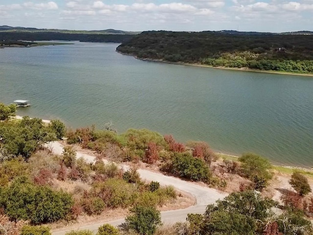 Listing photo 3 for LOT35 Lakeside Dr, Spicewood TX 78669