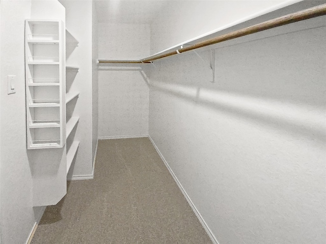 spacious closet featuring carpet floors