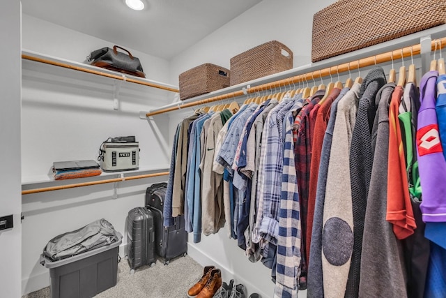 spacious closet featuring light carpet