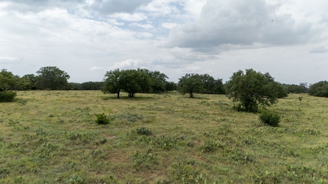 LOT106 N Waterbuck Way, Lampasas, TX 76550 - photo 6