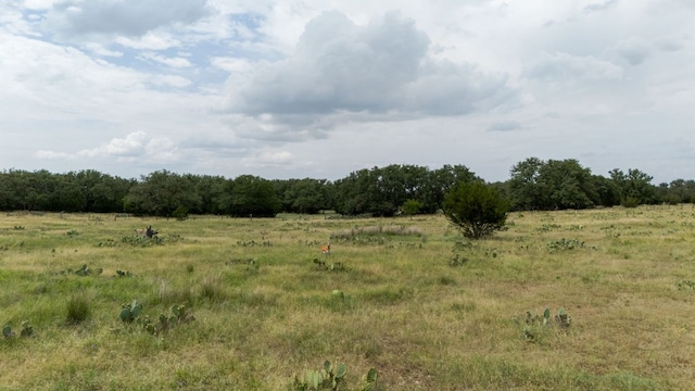 LOT106 N Waterbuck Way, Lampasas, TX 76550 - photo 8