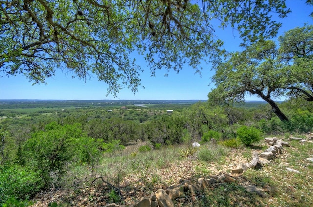 view of landscape