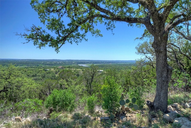 view of local wilderness