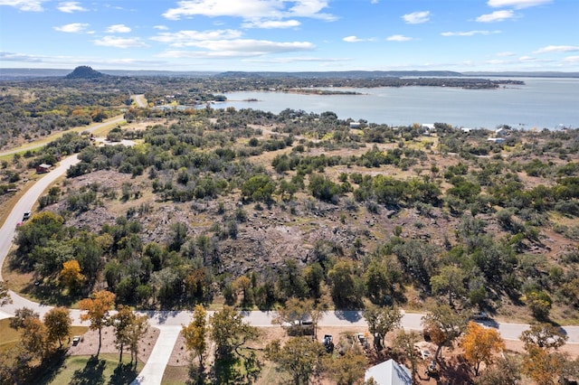 Listing photo 3 for LOT78 Peninsula Dr, Burnet TX 78611