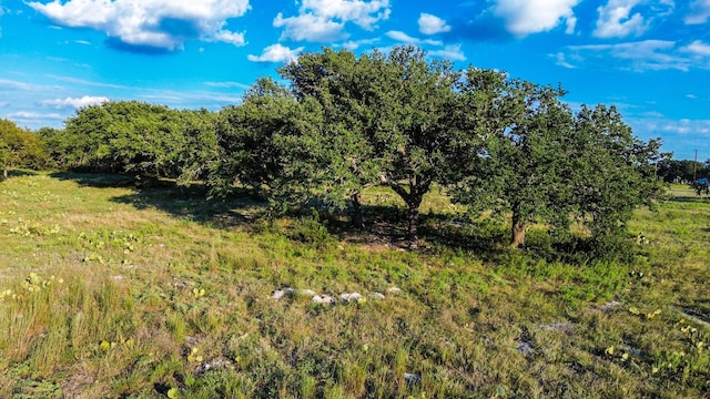 Listing photo 2 for LOT110 Kudu Ct, Lampasas TX 76550