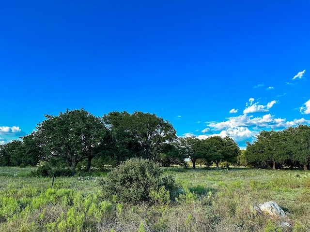 LOT110 Kudu Ct, Lampasas, TX 76550 - photo 13