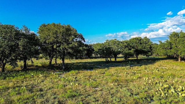 LOT110 Kudu Ct, Lampasas, TX 76550 - photo 17