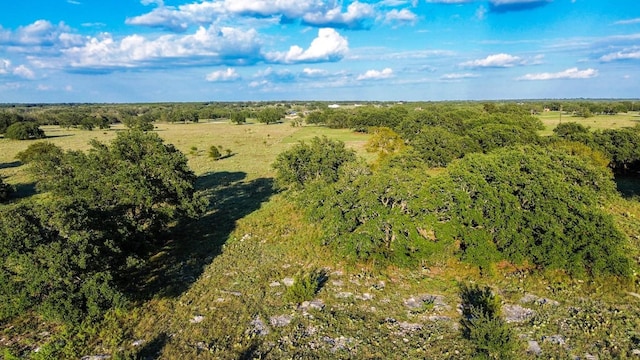 LOT110 Kudu Ct, Lampasas, TX 76550 - photo 21