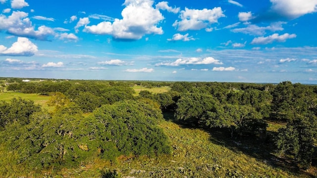 LOT110 Kudu Ct, Lampasas, TX 76550 - photo 22