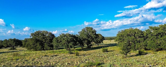 LOT110 Kudu Ct, Lampasas, TX 76550 - photo 24