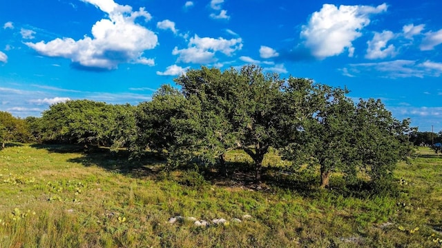 LOT110 Kudu Ct, Lampasas, TX 76550 - photo 25