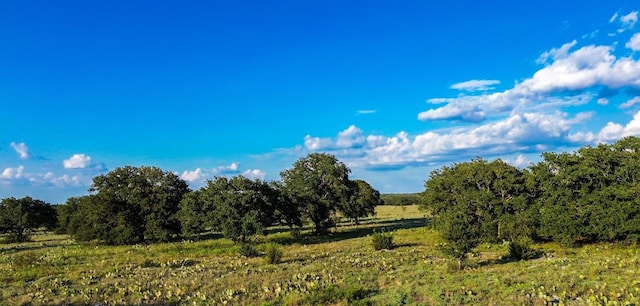 LOT110 Kudu Ct, Lampasas, TX 76550 - photo 28