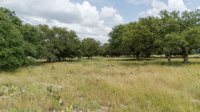 LOT110 Kudu Ct, Lampasas, TX 76550 - photo 6