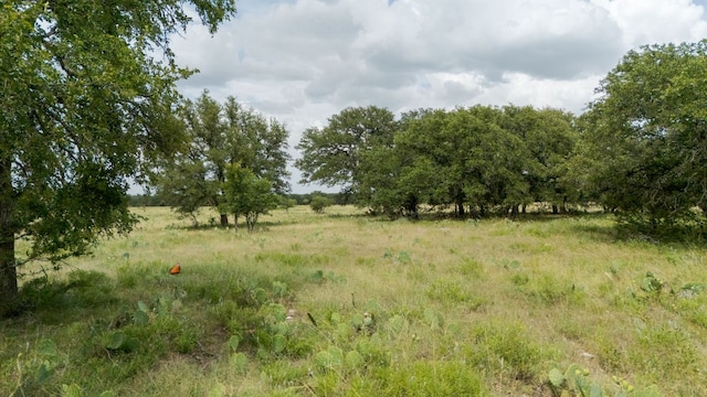 LOT110 Kudu Ct, Lampasas, TX 76550 - photo 7