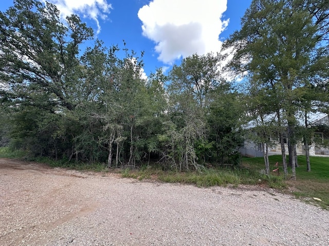 Listing photo 3 for LOT624 Hilea Ct, Bastrop TX 78602