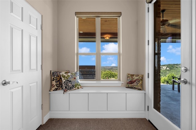 entryway with carpet floors