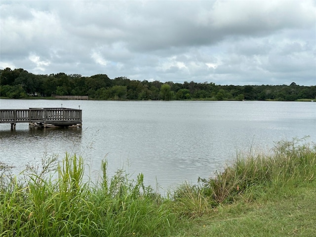 Listing photo 3 for TBD Thunderbird Dr, Smithville TX 78957