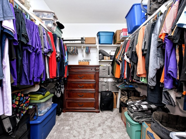 spacious closet featuring light carpet