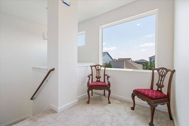 living area with light carpet