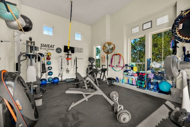 238 Landons Way, Georgetown, TX 78633 - workout area featuring a high ceiling